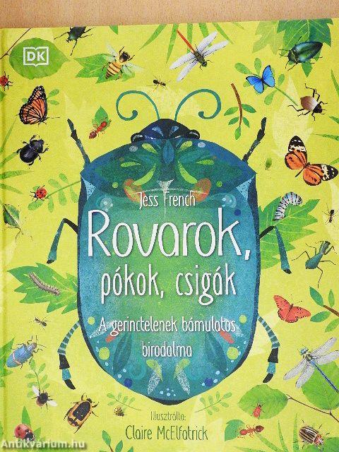 Rovarok, pókok, csigák