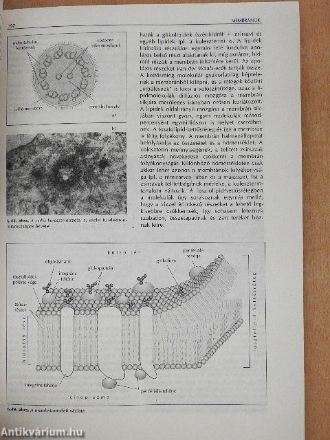 Biológia III.