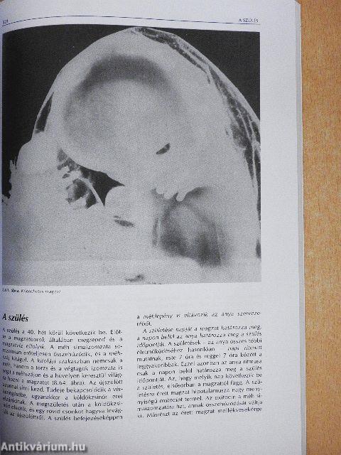Biológia III.