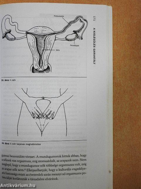 A multiorgazmusos férfi