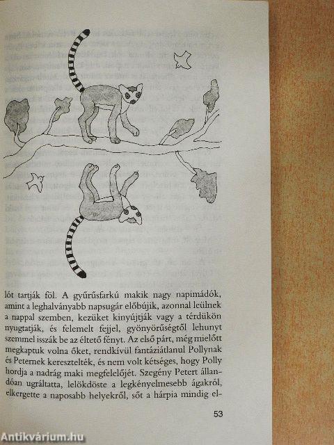 A Bárka születésnapja