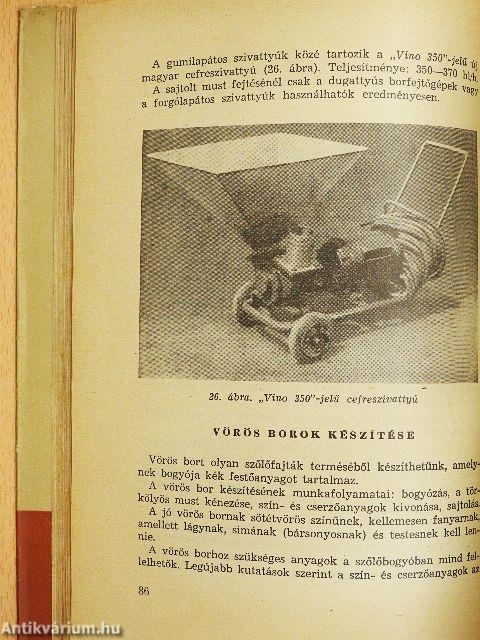 Borgazdaságtan