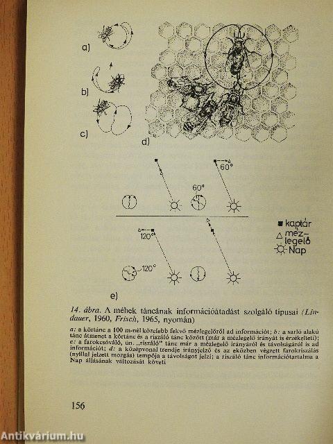 A biológia aktuális problémái 10.