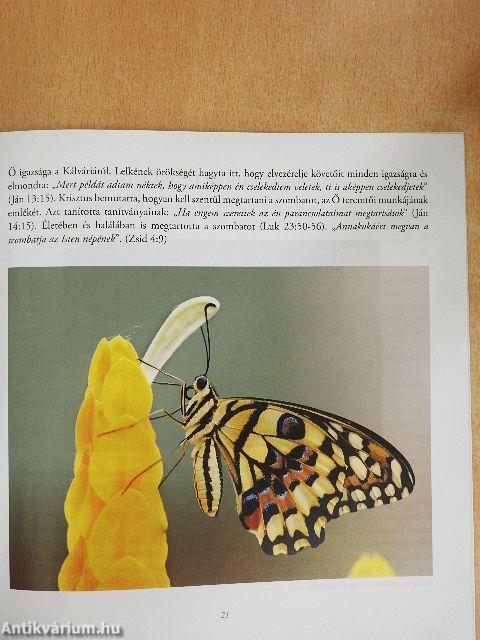 Az öröm ideje