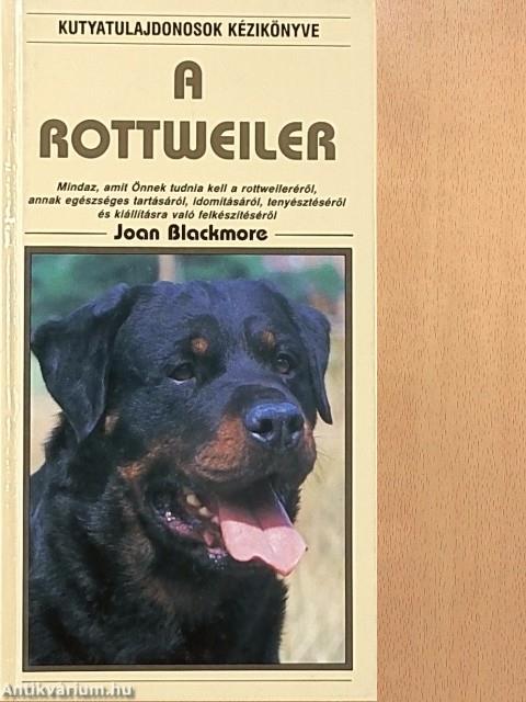 A rottweiler