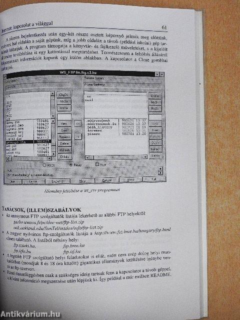 Kapcsolat a külvilággal: Internet