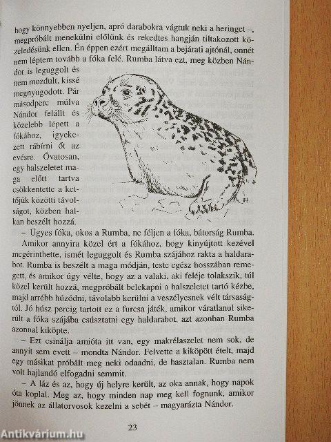 Állatkerti történetek