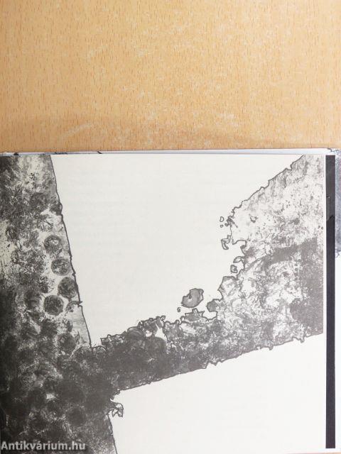 Füttyraktár - CD-vel