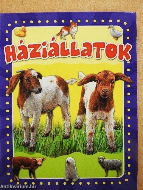 Háziállatok