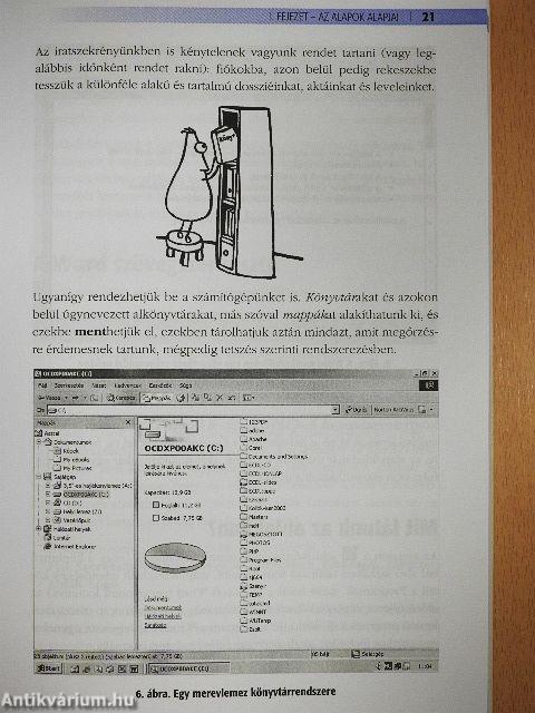 Netfüzet