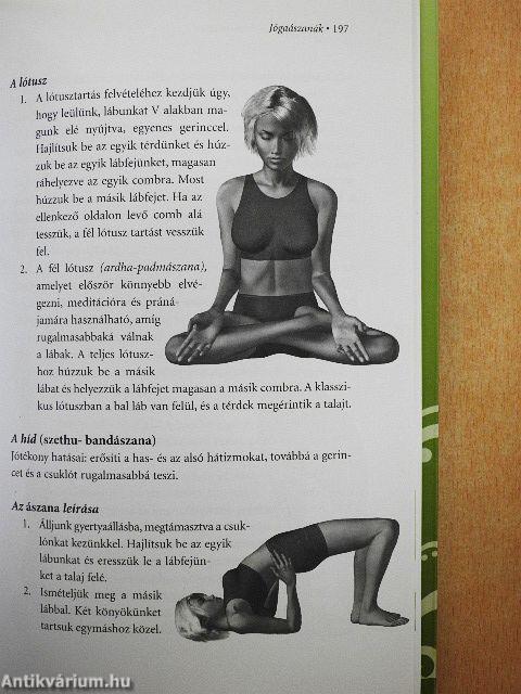 Ájurvéda a mindennapokban