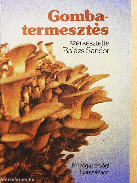 Gombatermesztés