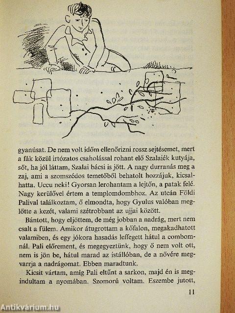 Kányadombi indiánok