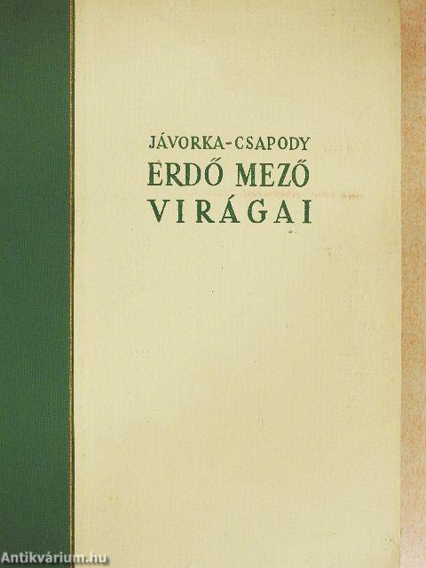 Erdő mező virágai