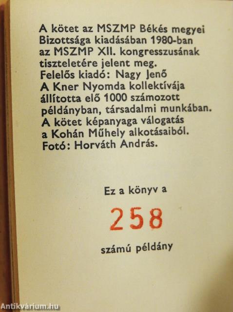 Híd (minikönyv) (számozott)