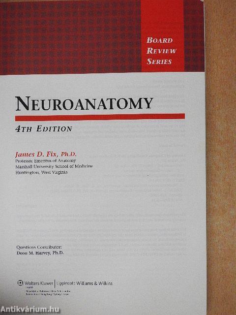 Neuroanatomy