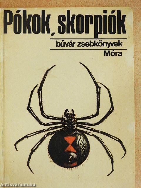 Pókok, skorpiók