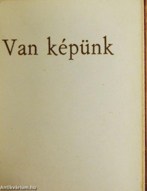 Van képünk (minikönyv) - Plakettel