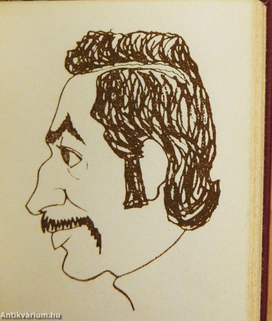 Van képünk (minikönyv) - Plakettel