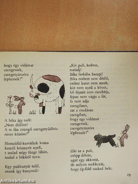 Ejhaj, csibekas!