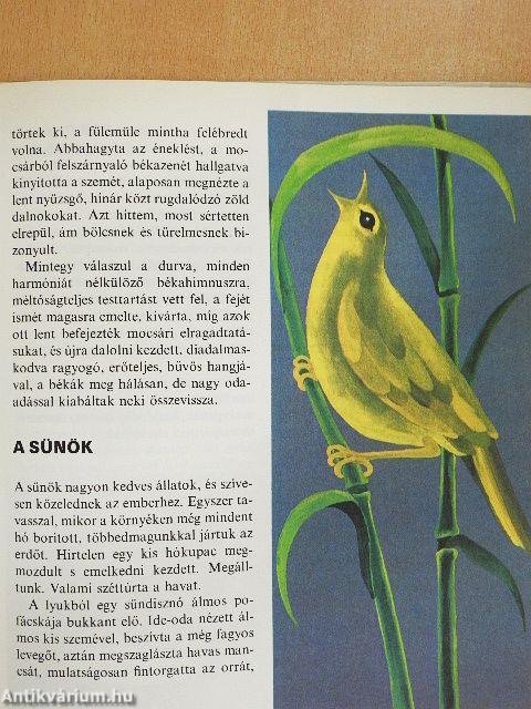 Szokatlan barátságok