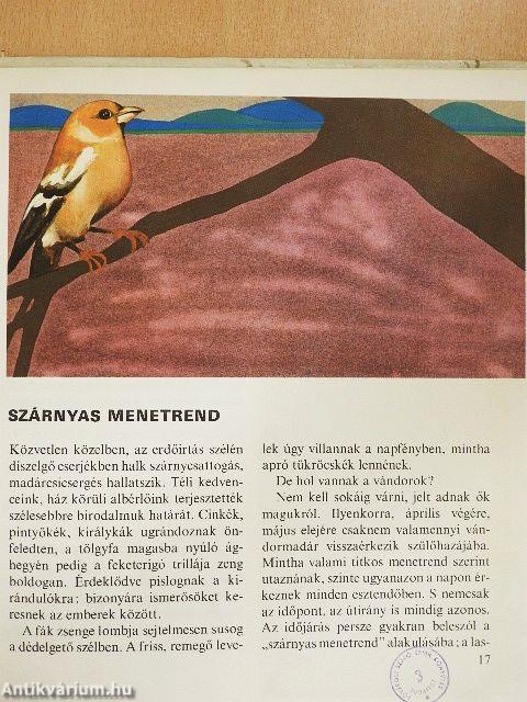 Madárnaptár, virágóra
