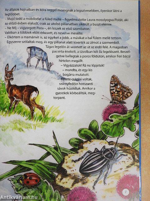 Az erdők élővilága