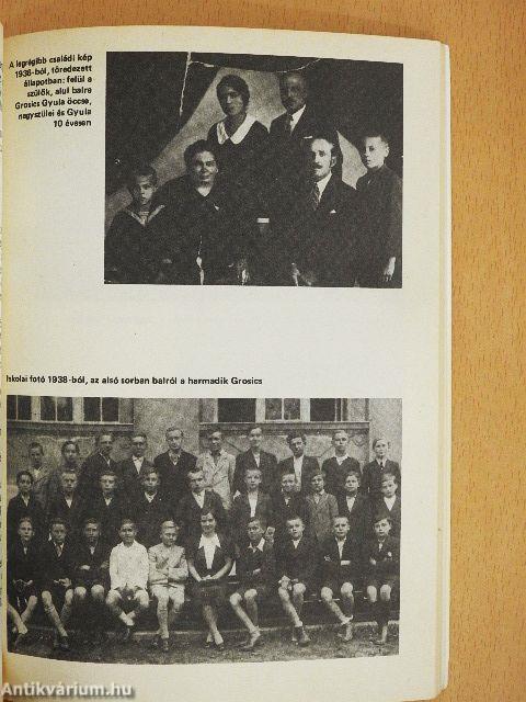 A Grosics-villa titka