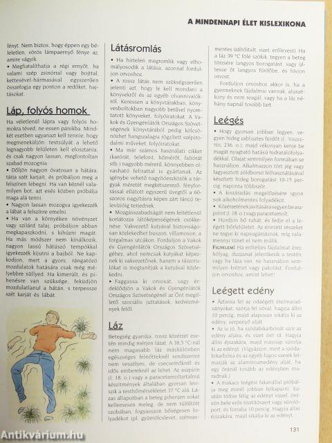 Mindennapi mindentudó