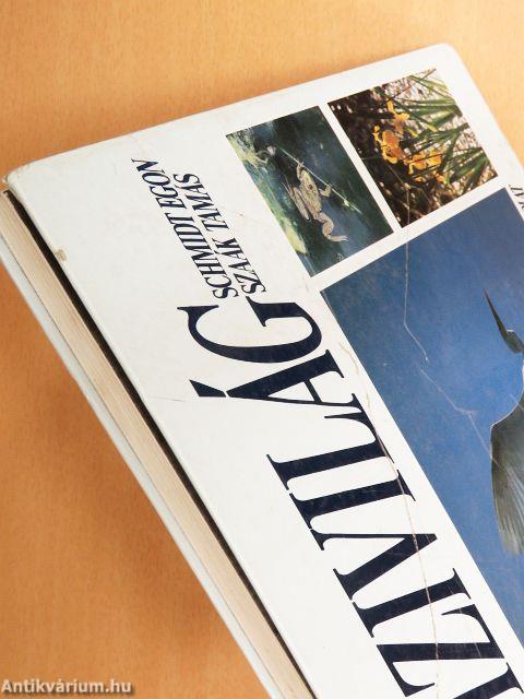 Vízivilág