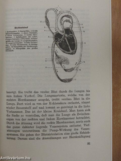 Das Grosse Kräuterheilbuch