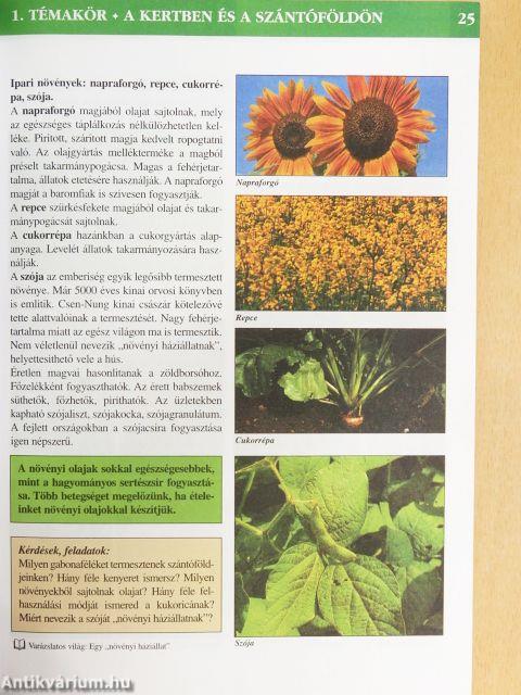 A mi világunk 4.