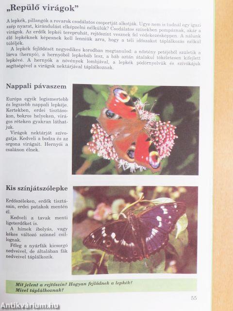 Varázslatos világ