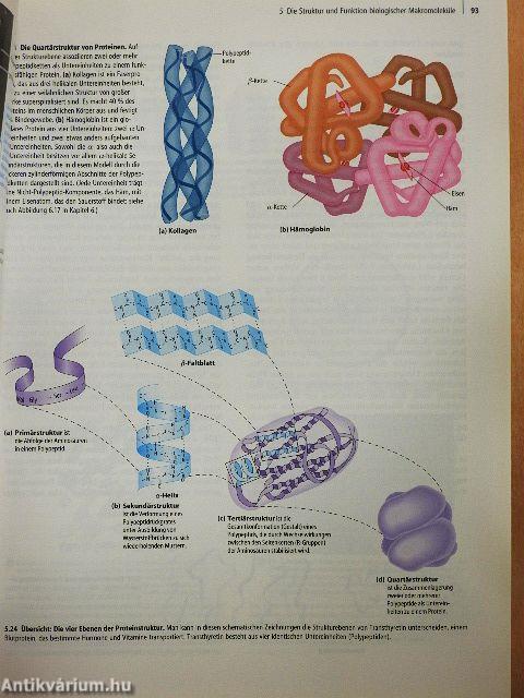 Biologie