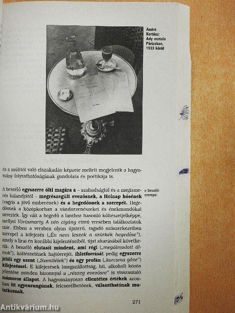 Irodalomkönyv 11.