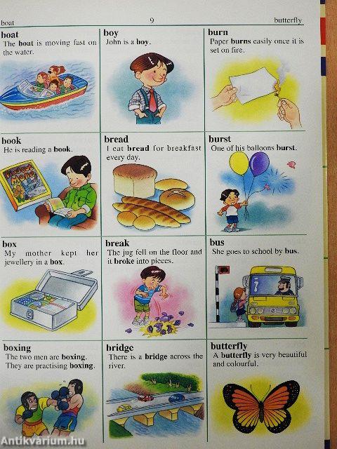 My First Picture Dictionary