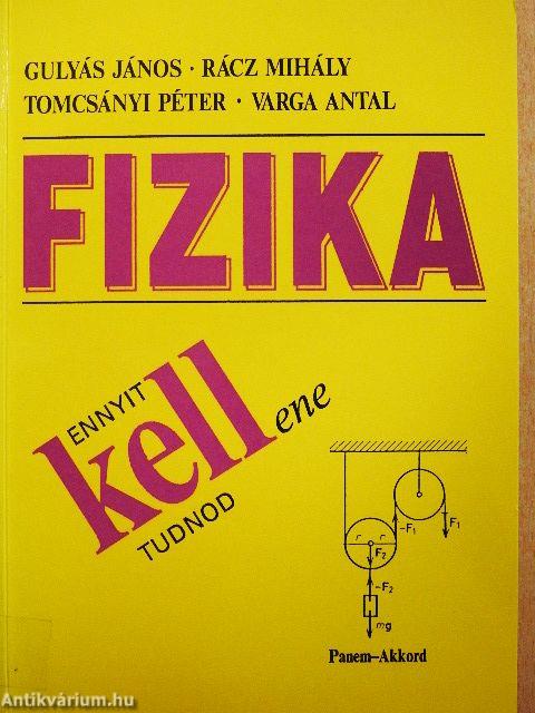 Fizika