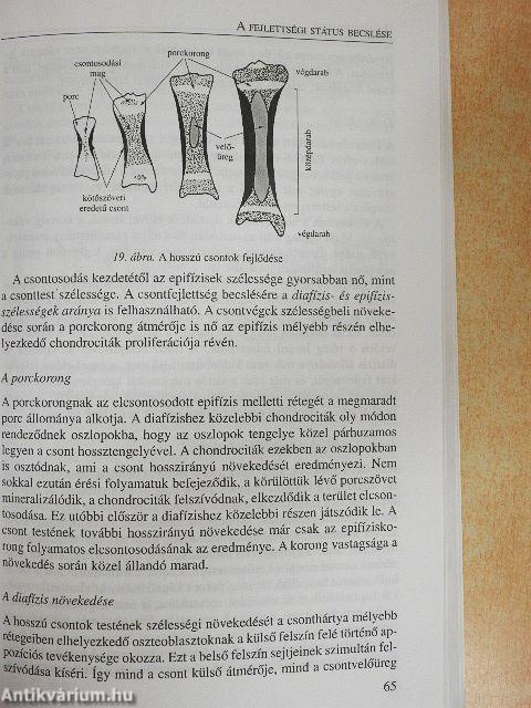 Humánbiológia