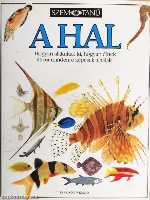 A hal 