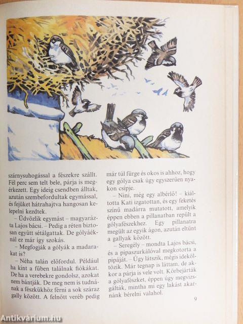 Tollas albérlők