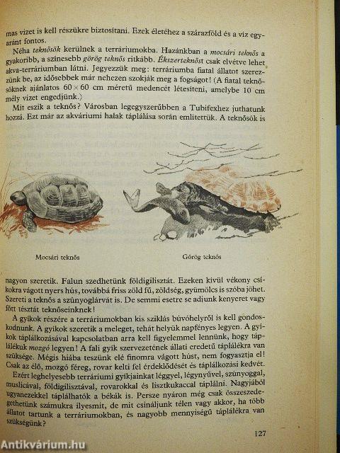 Különös vadászat