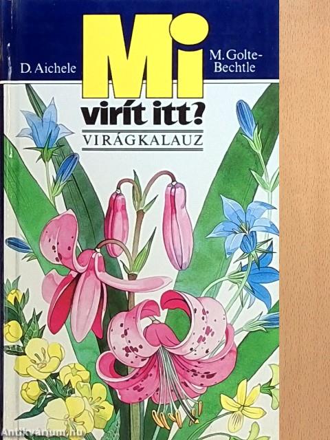 Mi virít itt?