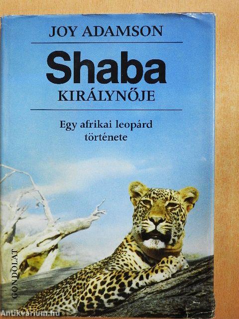 Shaba királynője