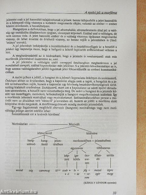 A magyar nyelv I.