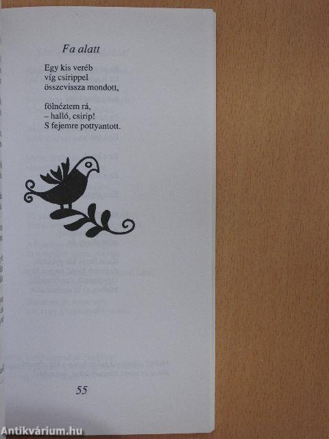 Csillagszemű kis csibészek
