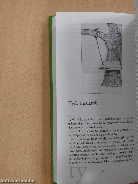 ABC, avagy a butákok cikizése