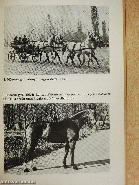 A csikónevelés haszna