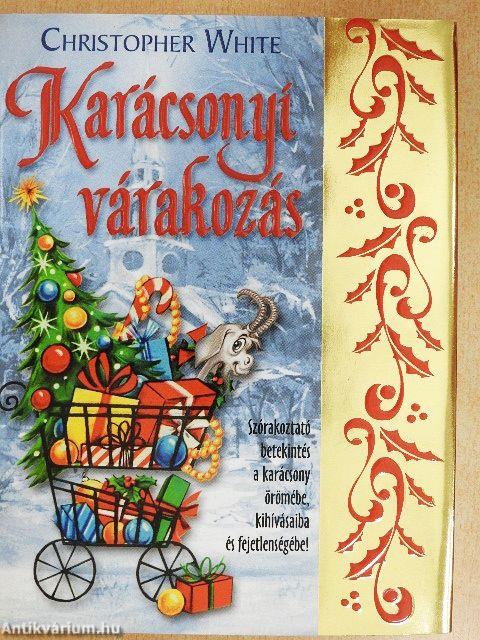 Karácsonyi várakozás