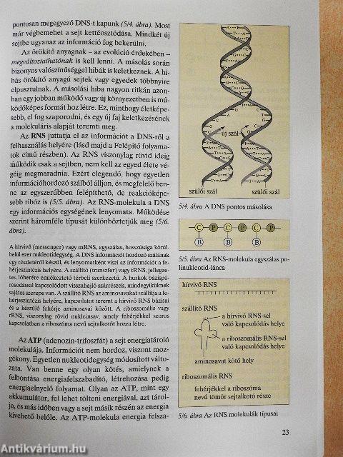 Biológia 11.