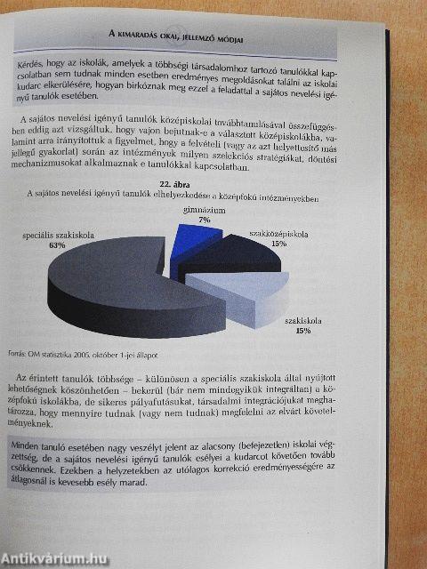 Akadálypályán